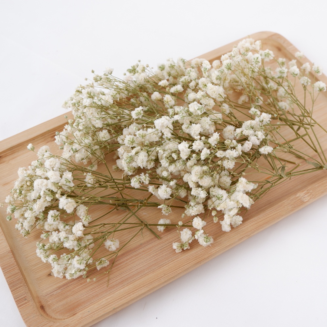 Dried Flowers White Mini Dried - Flower Girl Basket 评论和价格