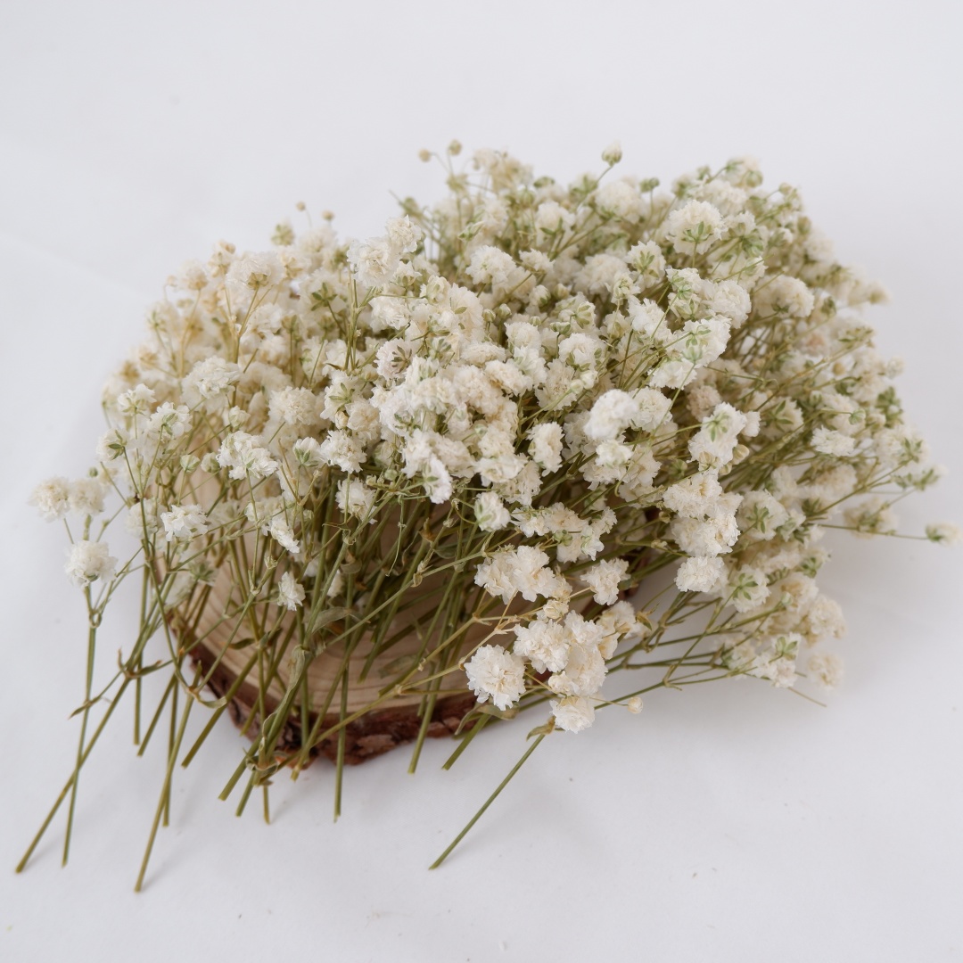 Dried Flowers White Mini Dried - Flower Girl Basket 评论和价格