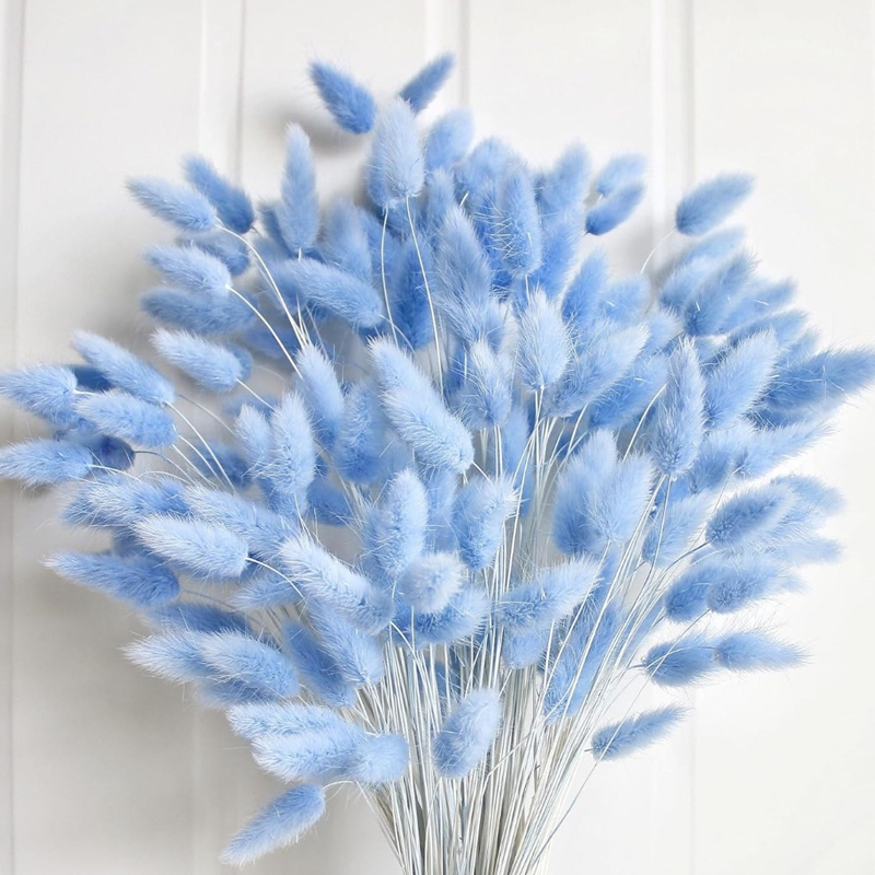 100PCS Blue Hare's-tail Grass  - Flower Girl Basket 评论和价格